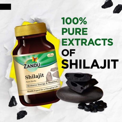 Капсула Шиладжит (мумиё) Zandu Shilajit