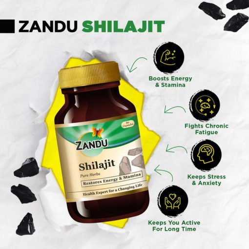 Капсула Шиладжит (мумиё) Zandu Shilajit