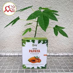 Органический порошок листьев папайи премиум-класса от Spag Herbals